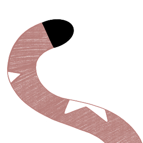 leo tail